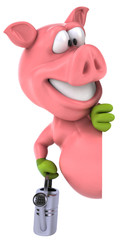 Fun pig