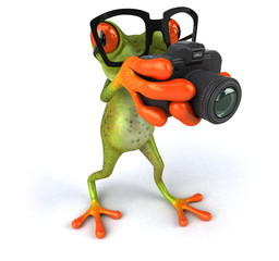 Fototapeta na wymiar Fun frog