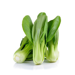 Bok choy vegetable on white background - obrazy, fototapety, plakaty