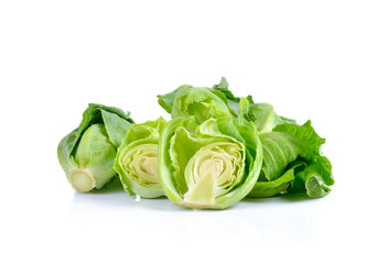 mini cabbage on white background