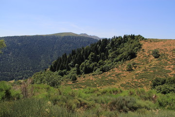 Naklejka premium vue vers le plomb du Cantal