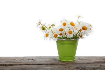 Bouquet of daisies in a green bucket