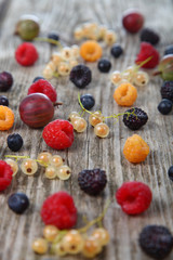 Naklejka na ściany i meble Different ripe berries