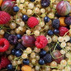 Different ripe berries