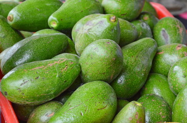 avocado in basket on the market