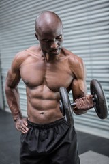 Fototapeta na wymiar Young Bodybuilder doing weightlifting 