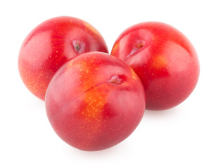red plums on white background