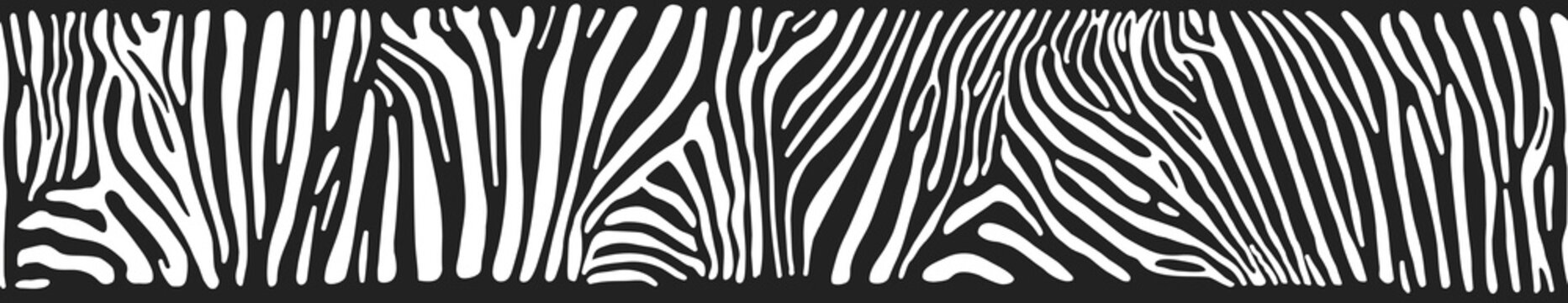 Vector background with zebra skin
