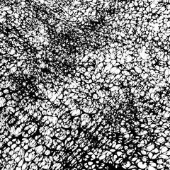 Obraz premium Abstract Overlay Texture. Vector Grunge Texture. 
