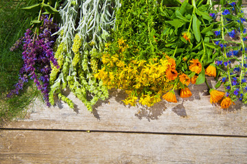 Different kinds of wild herbs on a wooden table