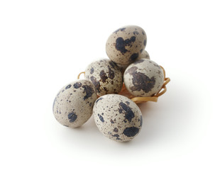 うずらの玉子