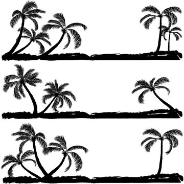 palm black silhouette. Vector illustration