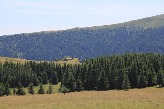 buron dans les monts du Cantal