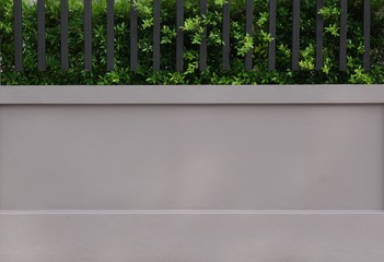 Gray concrete fence with black steel and ornamental plants