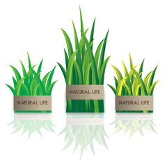 Green grass nature, vector