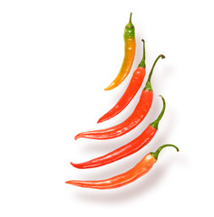 Chili peppers isolated on white background. Clipping path is included.