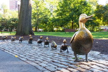 Make Way for Ducklings, Boston Public Garden - obrazy, fototapety, plakaty