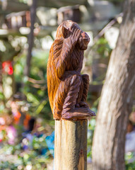 monkey covering his eyes © james633