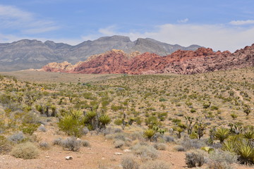 Red Rock Canyon in Nevada, USA