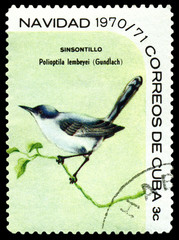  Stamp.  Bird  Cuban gnatcatcher.