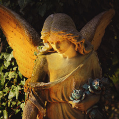 golden angel in the sunlight (antique statue)