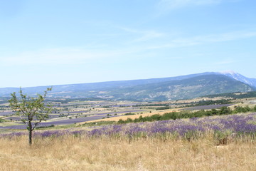 paysage de Provence en 2015