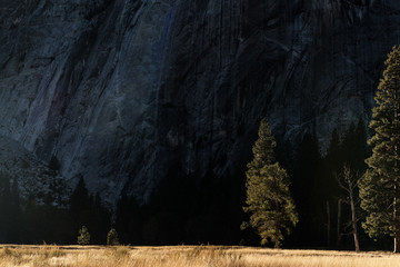 Meadow near the Mountain Yosemite Valley United States 