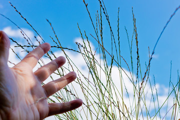 hand reach for grass