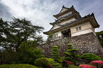 Fototapeta na wymiar The Main Tower of Odawara Fortress, Kanagawa, Japan