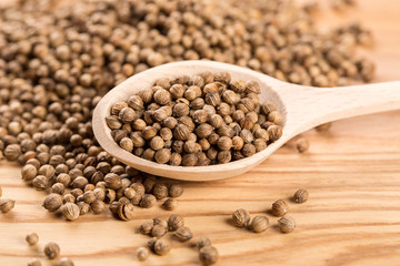 Close up of dried coriander seeds in the wooden spoon on the wood table