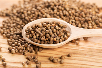 Close up of dried coriander seeds in the wooden spoon on the wood table