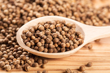 Close up of dried coriander seeds in the wooden spoon on the wood table