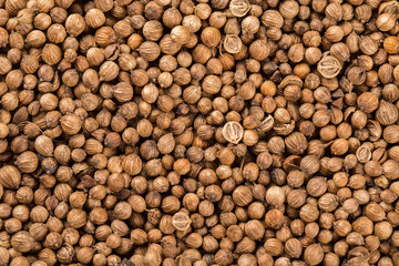 Background of dried coriander seeds