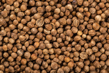 Background of dried coriander seeds