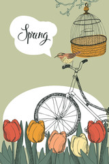 Spring garden, tulips and bike, design card