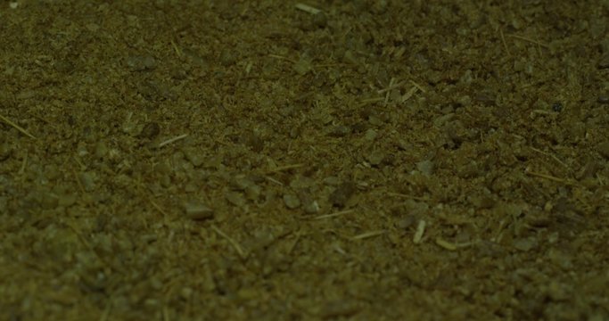 Spices cumin, paprika, turmeric, cinnamon. Macro.