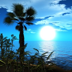 Sea sunset. Palma.