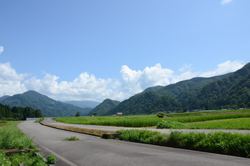 田んぼ道と青空