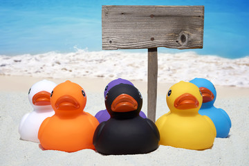 Sechs bunte Gummienten und ein Holzschild am Strand