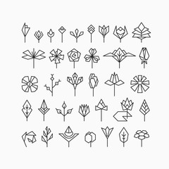 Hipster geometrical flowers, floral design elements