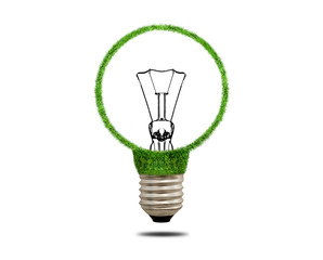 Green grass light bulb. Concept of green energy