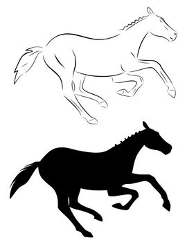 horse  vector illustration