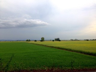 Obraz premium sunset