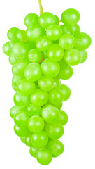 grappe de raisins verts sur fond blanc