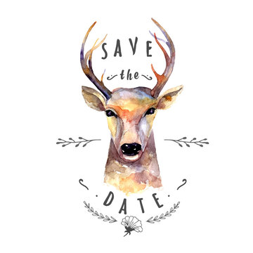Deer watercolor. Save the date