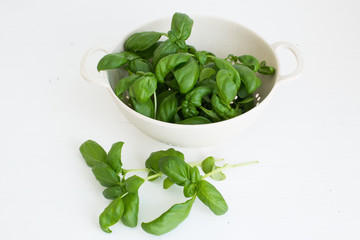Fresh green basil.