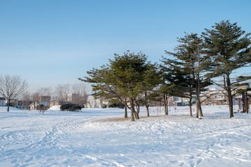 Fototapeta na wymiar 雪の公園