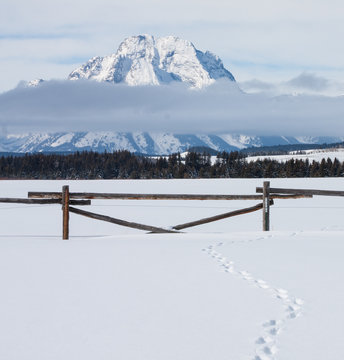 teton mountains with fence and tracks in snow