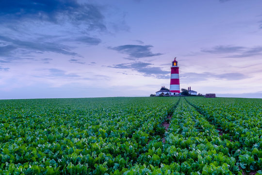 Happisburgh Lighthouse After A Storm