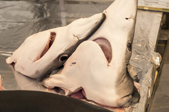 Shark heads on local market fishmonger